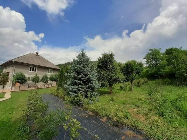 Căsuța Fructele Pădurii Baia de Arieș - Housity