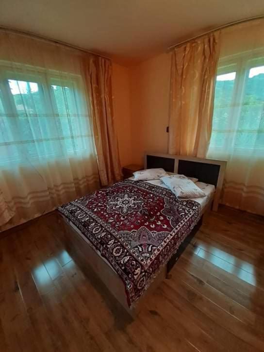 Căsuța Fructele Pădurii Baia de Arieș - Housity