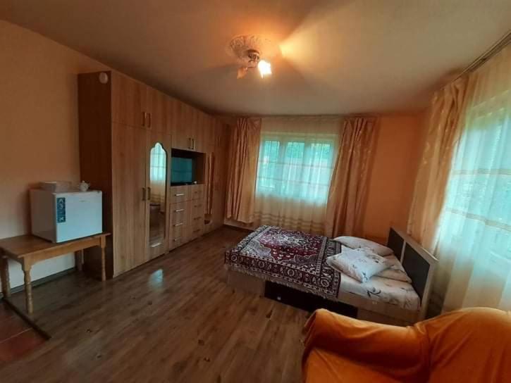 Căsuța Fructele Pădurii Baia de Arieș - Housity