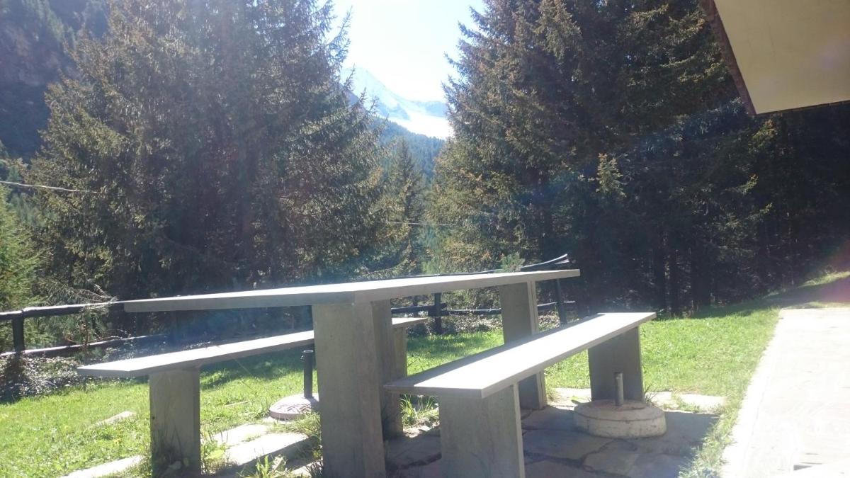 chalet chiareggio - Housity