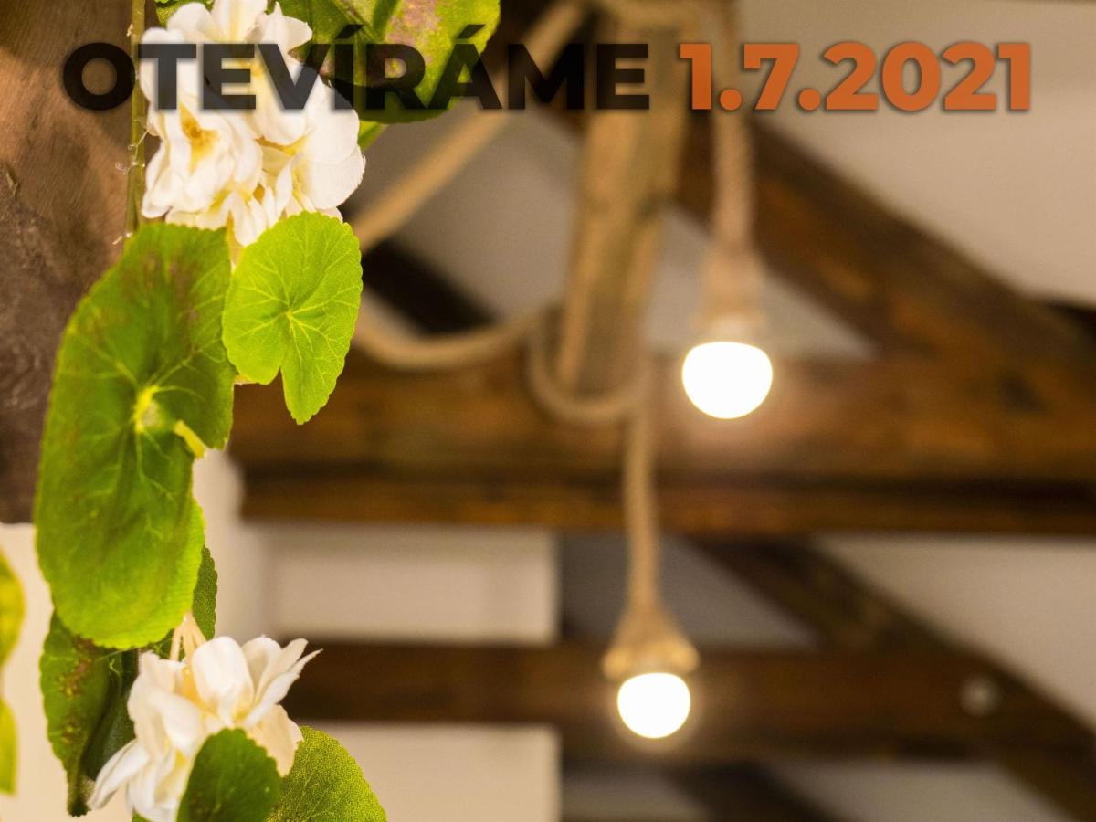 Apartmánový dům 13 Podkroví 2 - Housity