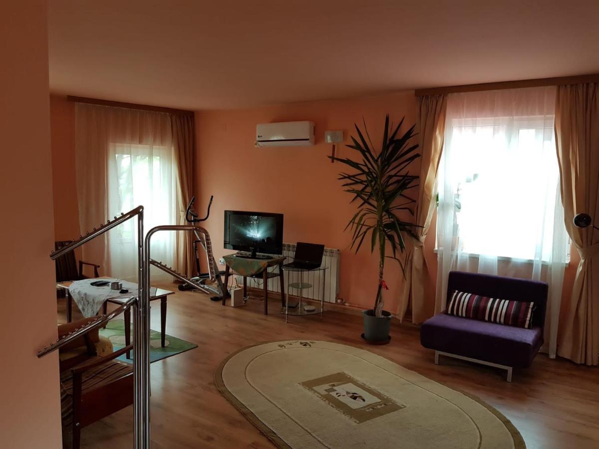 Sasha's Place - Housity