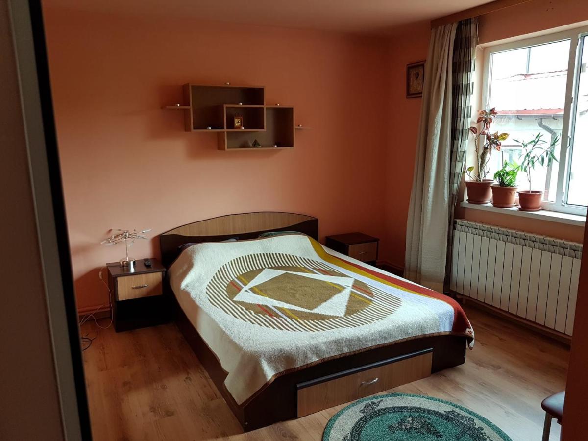 Sasha's Place - Housity