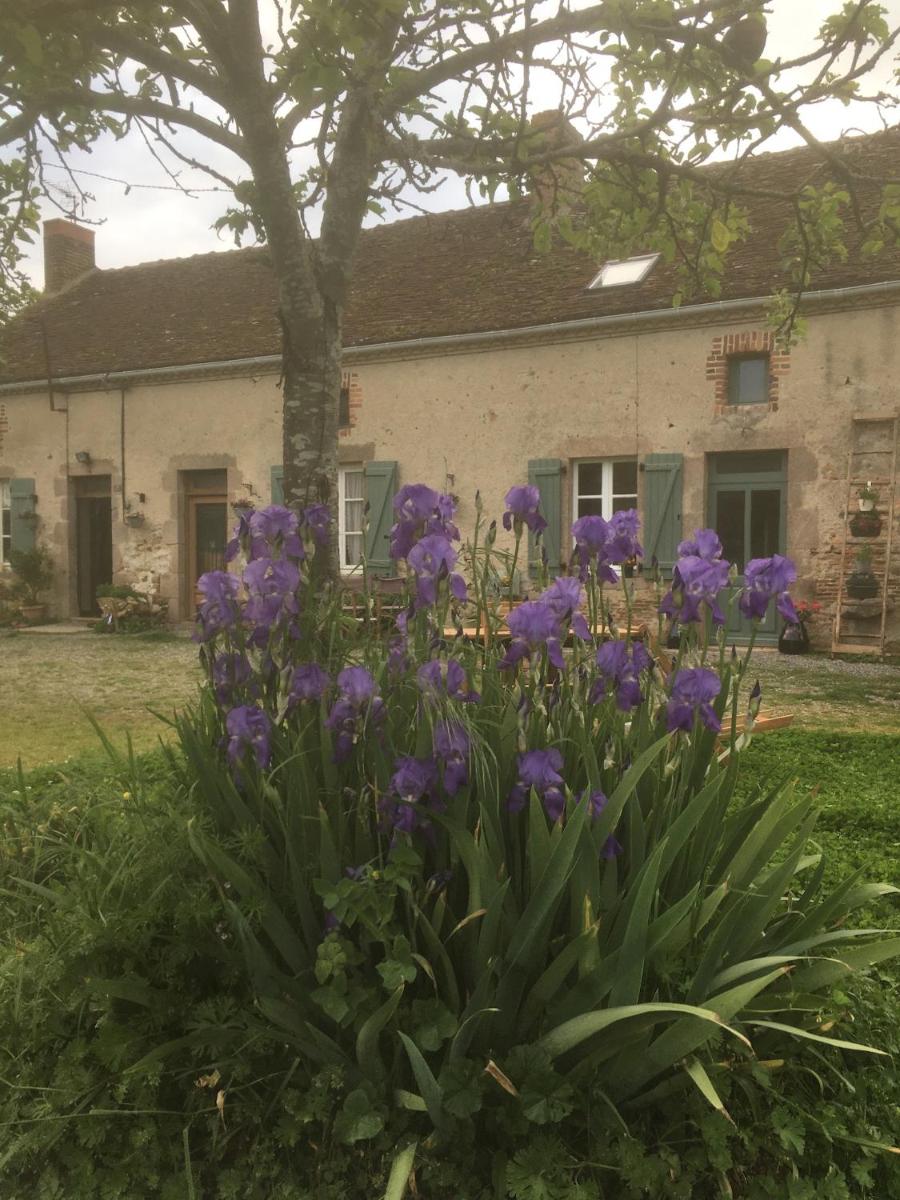 By The Wayside - Housity