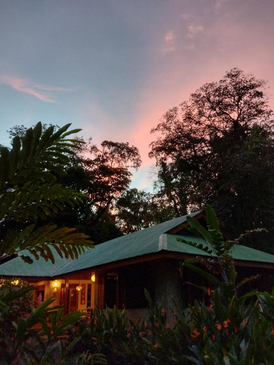 Geckoes Lodge - Housity