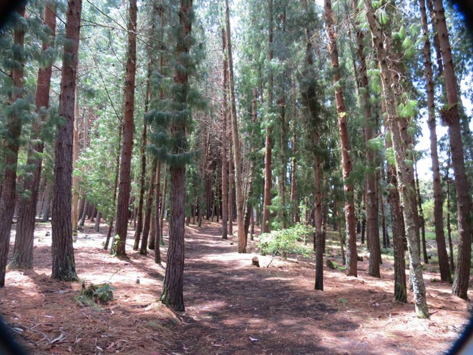 Glamping Verde 360 - Housity