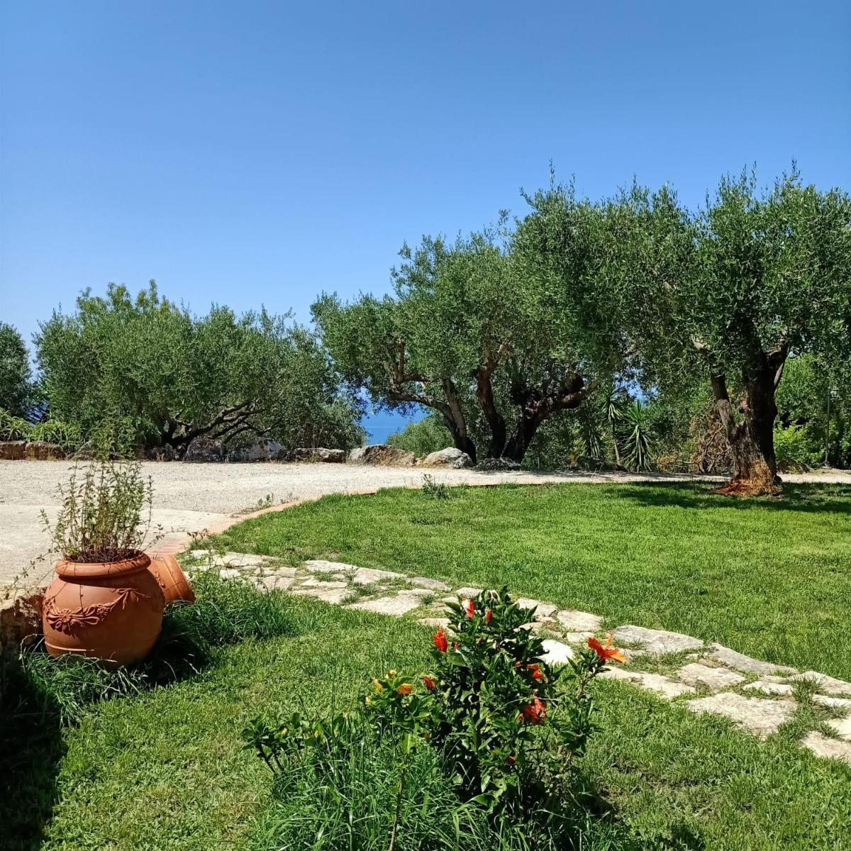 Tarohouse Marina di Camerota - Housity