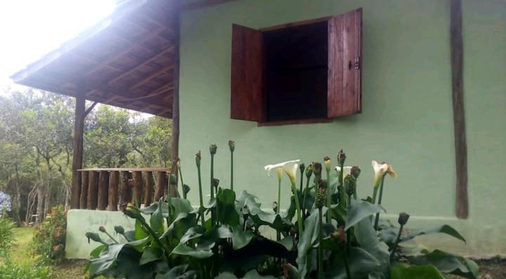 Chalé Matutu - Adriana Soares - Housity