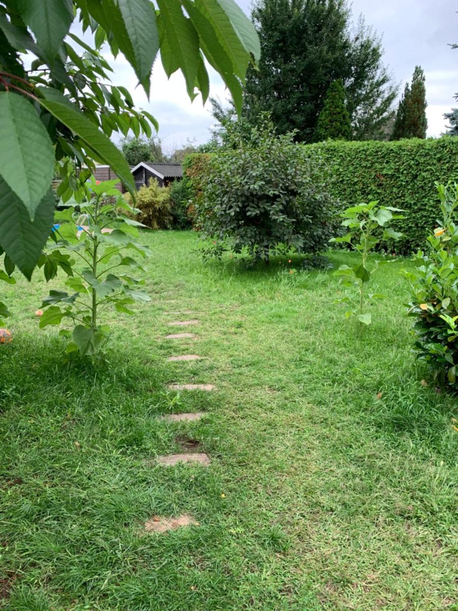 Gemütliches Ferienhaus mit Garten - Housity