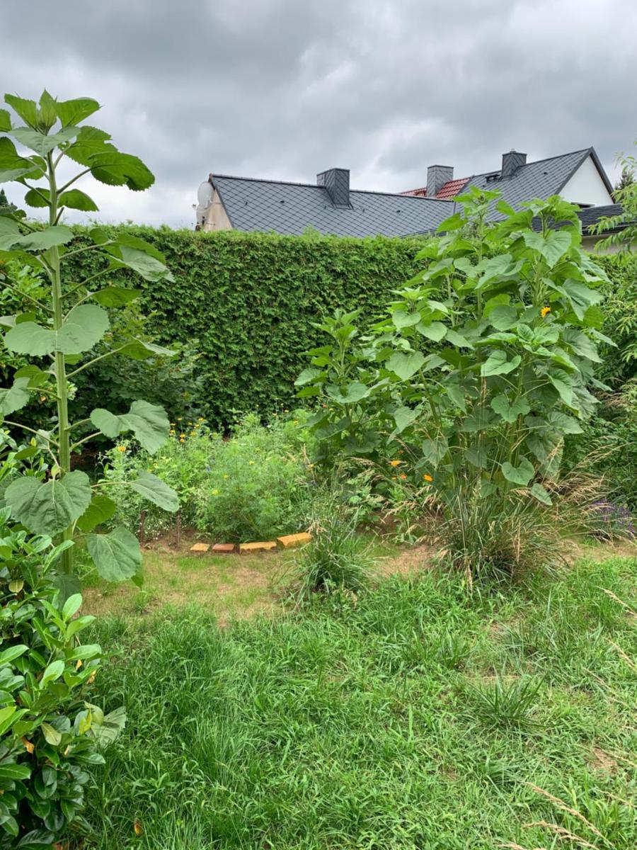 Gemütliches Ferienhaus mit Garten - Housity