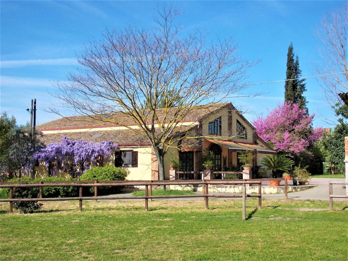 Agriturismo PagliaLonga - Housity