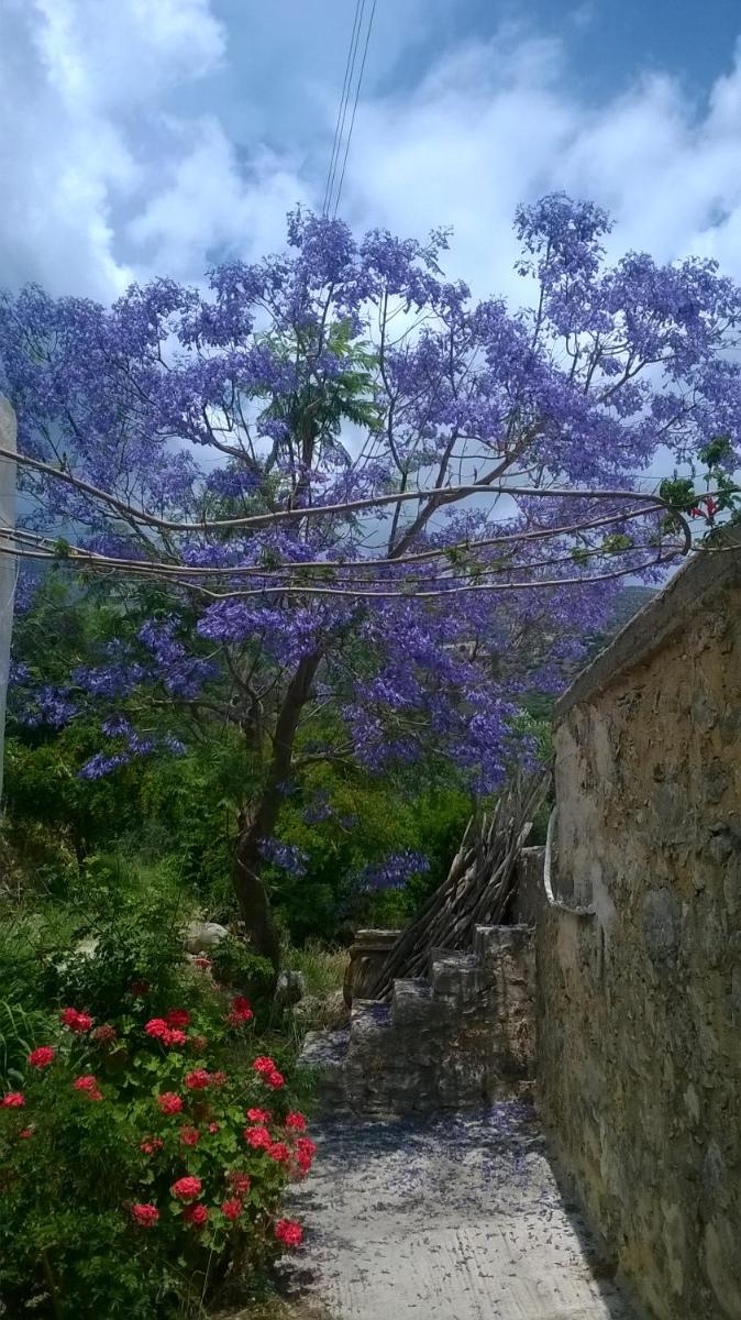 Comfortable Family House nearby Mirtos - Housity