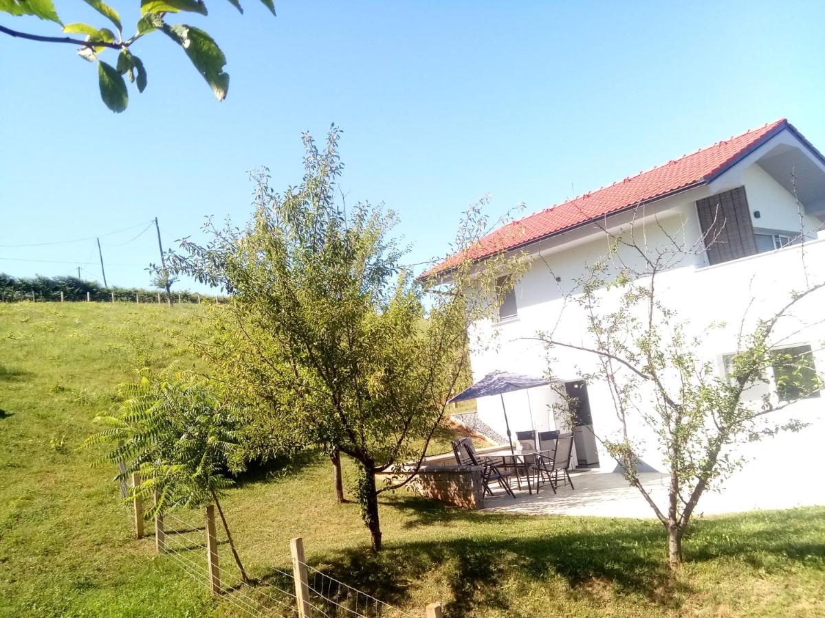 Grajsko - Housity
