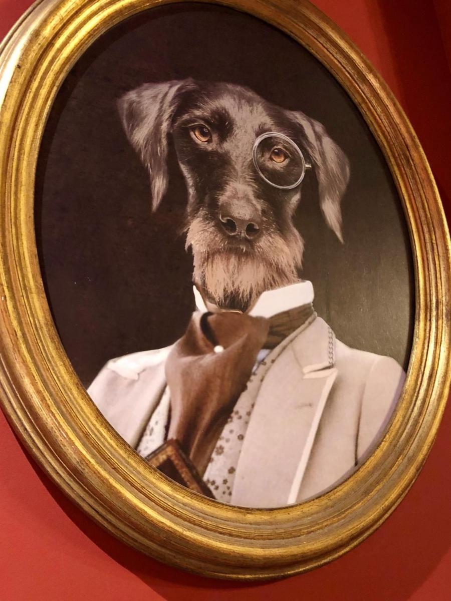 Animal ou animaux domestique(s) séjournant avec des clients dans l'établissement Hôtel Saint Louis