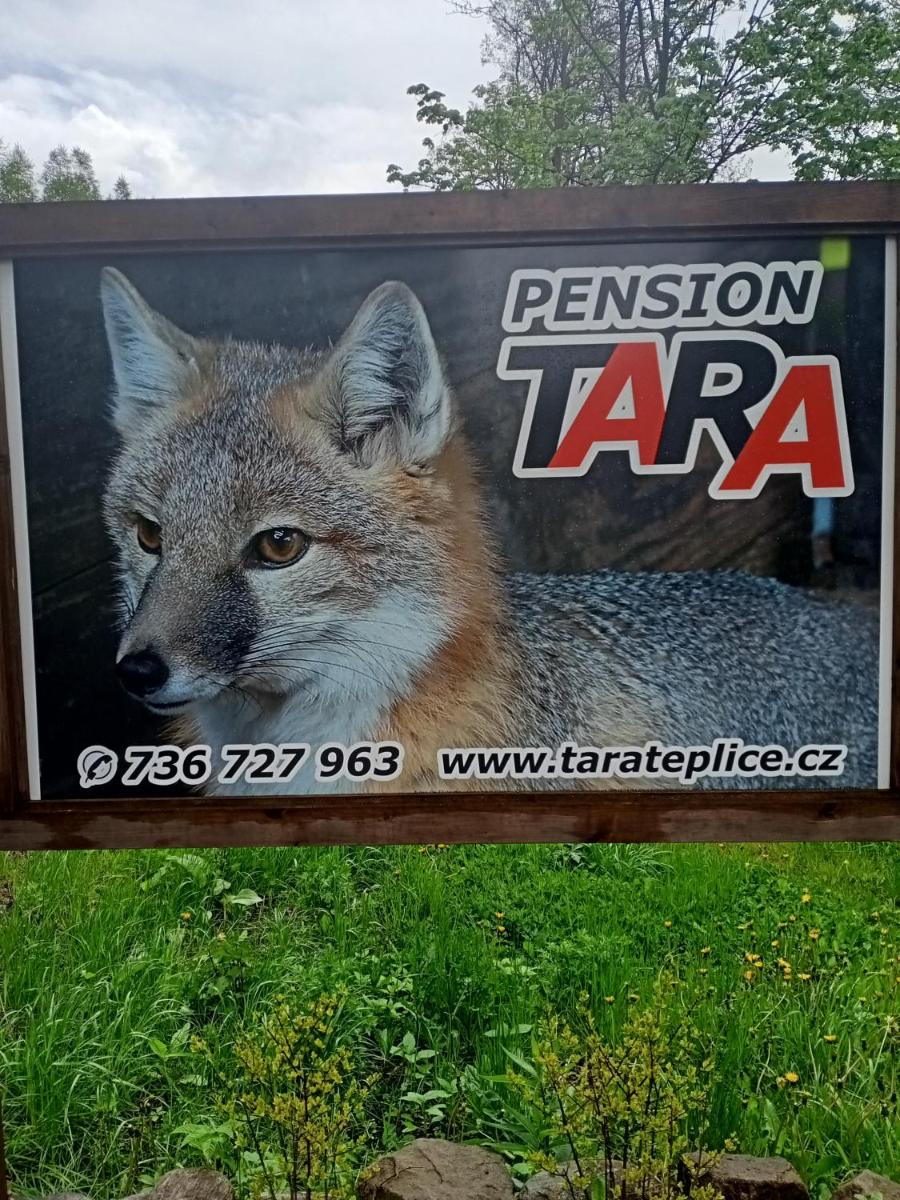 pension TARA - Housity