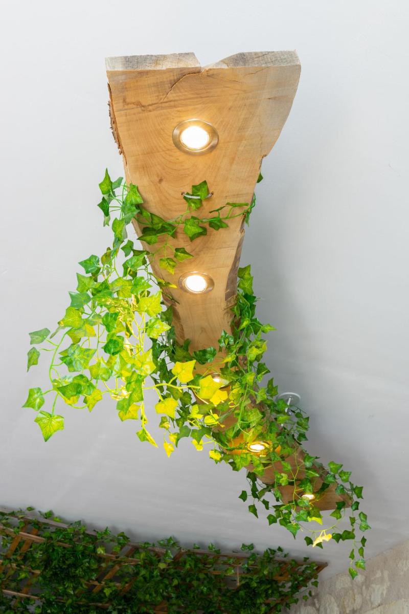 L'Amazonia - Domaine Tropical - Housity