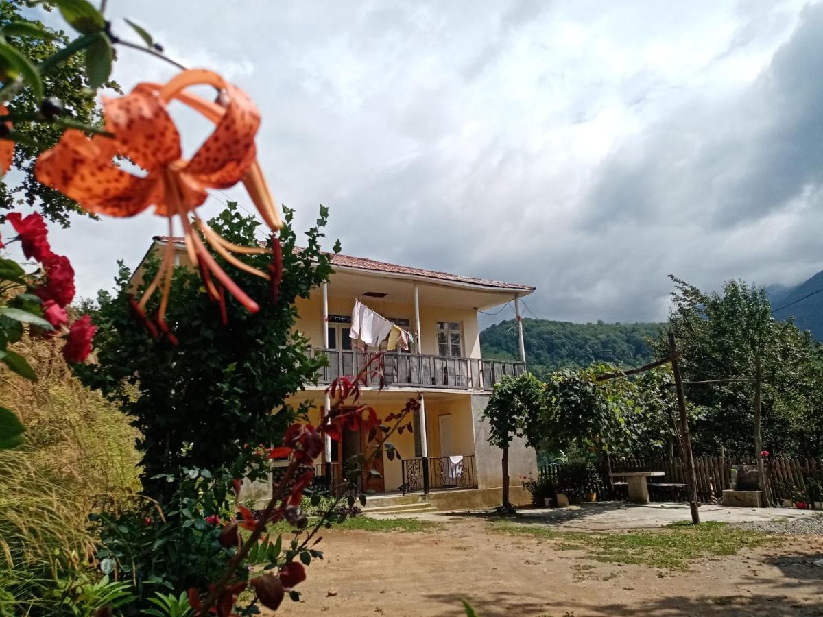 Rolandi's House - Housity