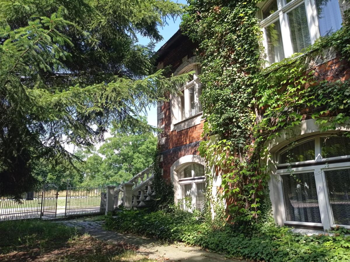Willa Fischer - Housity