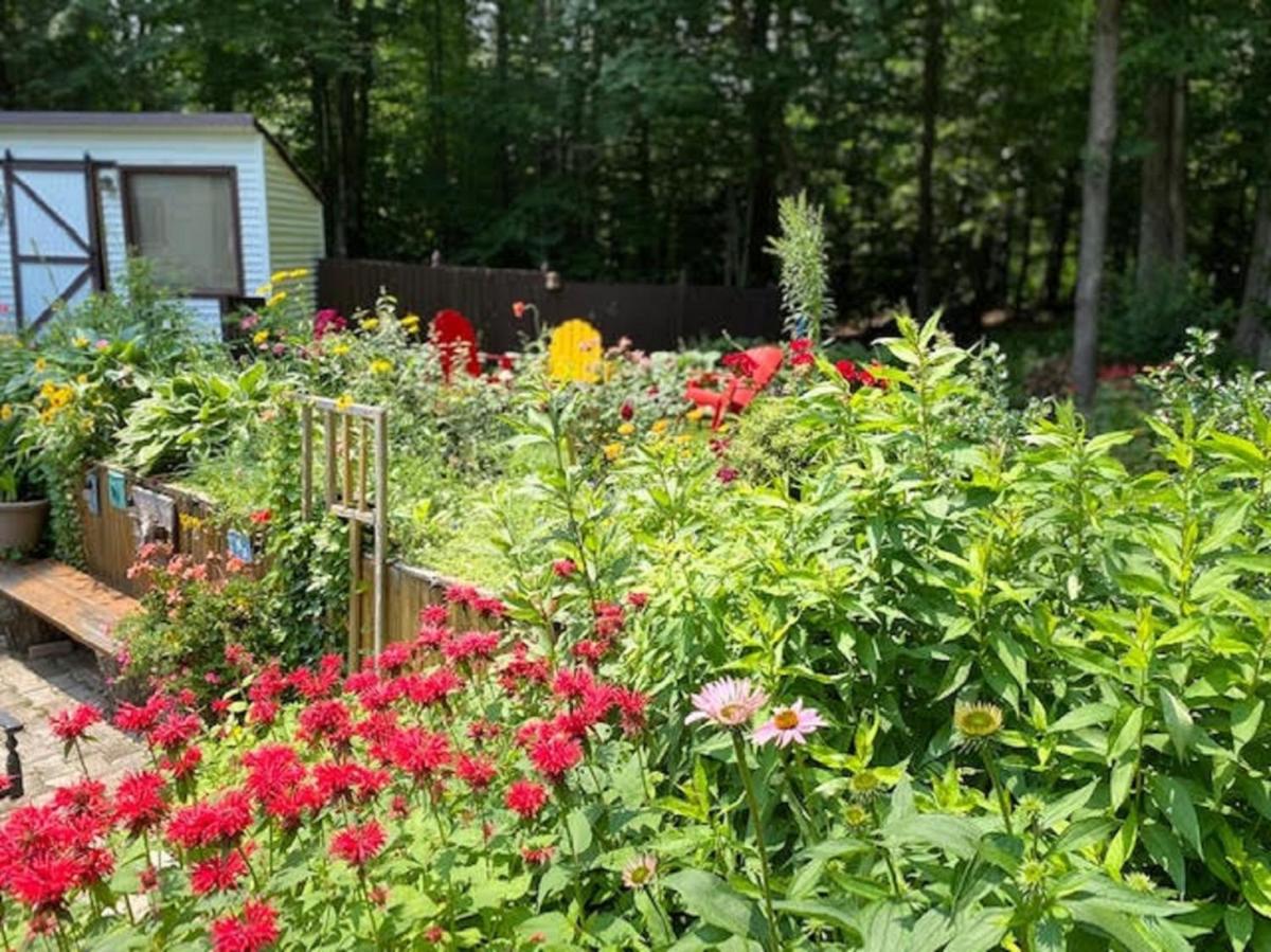 Quiet Surprise in the Suburbs-Gardens &amp; Sunroom - Housity