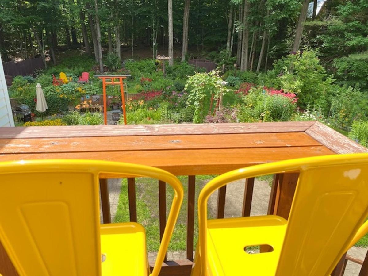 Quiet Surprise in the Suburbs-Gardens & Sunroom - Housity