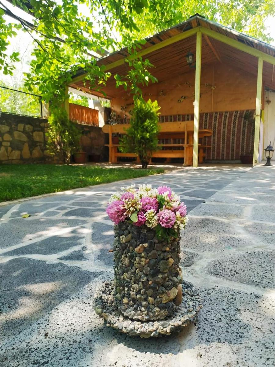 Guest house Nataly - Housity