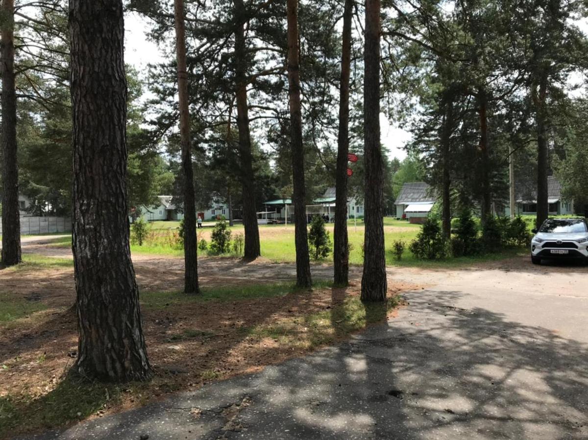 Отель на Cосновой - Housity