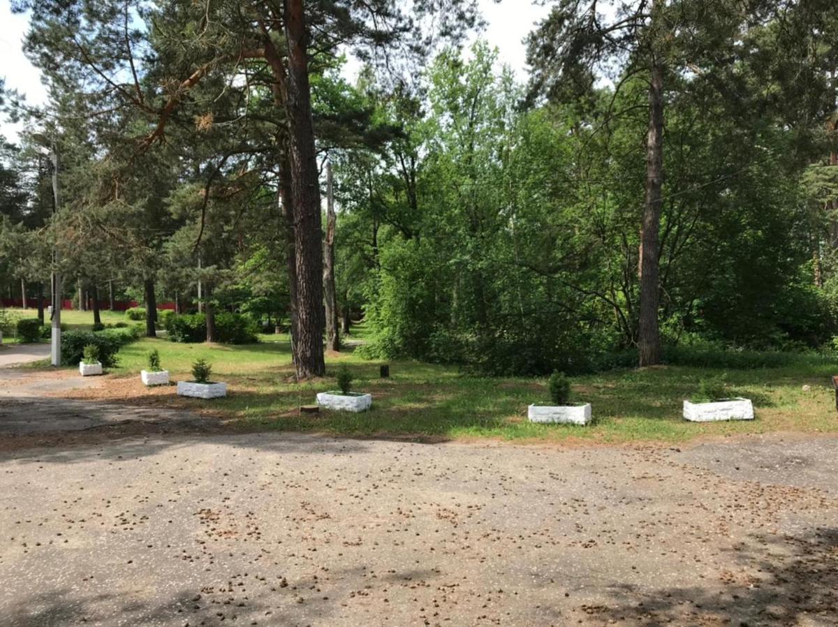 Отель на Cосновой - Housity