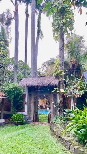 Metina's Tropical Villa - Housity