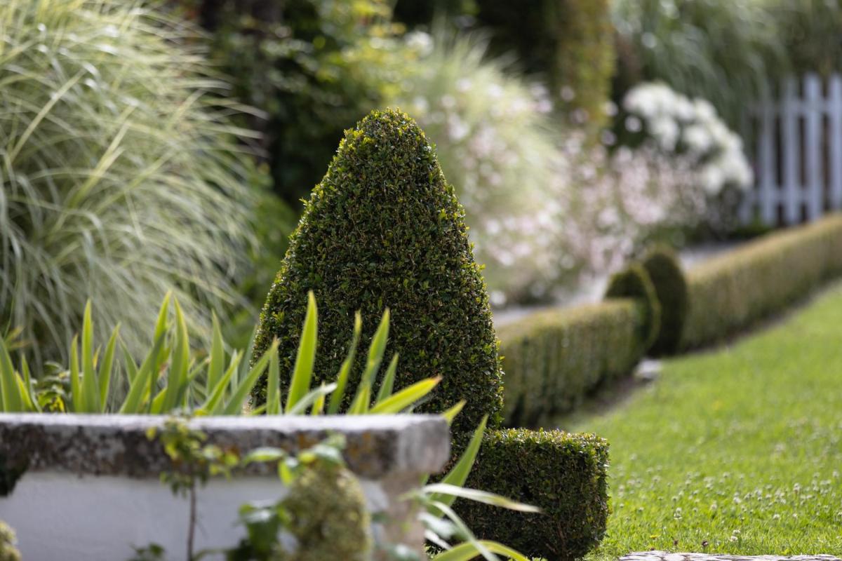 Jardin de l'établissement Villa Clarisse & Spa by Olivier Claire