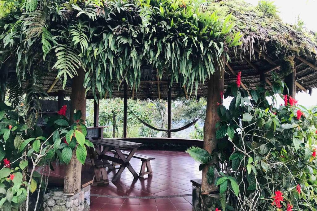 Cabaña en Macas-Ecuador - Housity