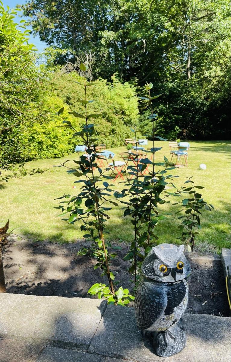 aday - Aalborg mansion - Open bright apartment with garden - Housity