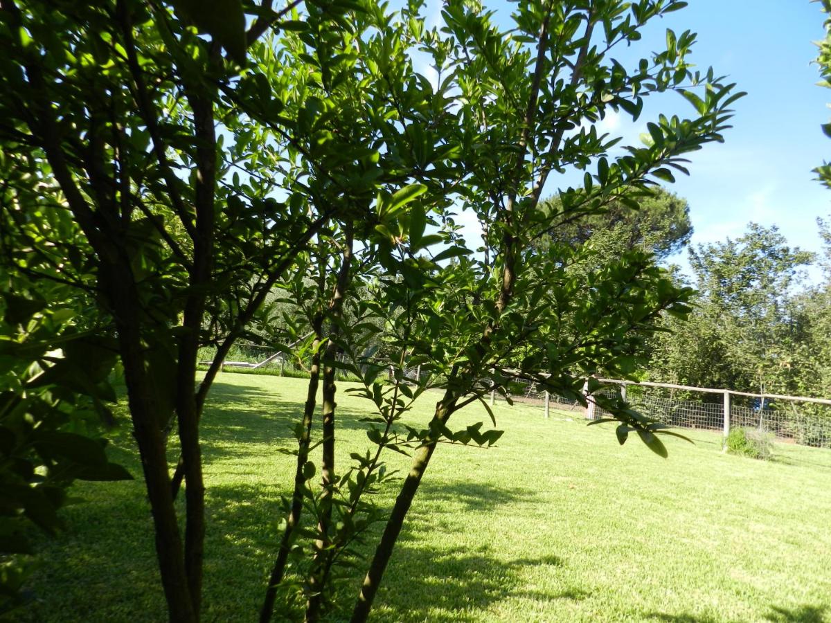 Villa Acanfora - Housity