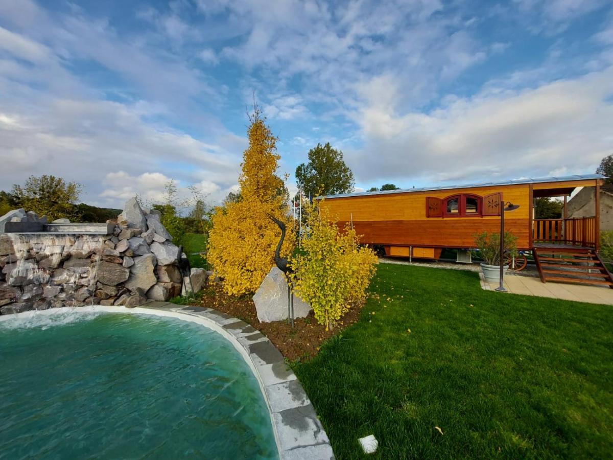 Piscine de l'établissement Hôtel du Domaine de La Grange de Condé ou située à proximité