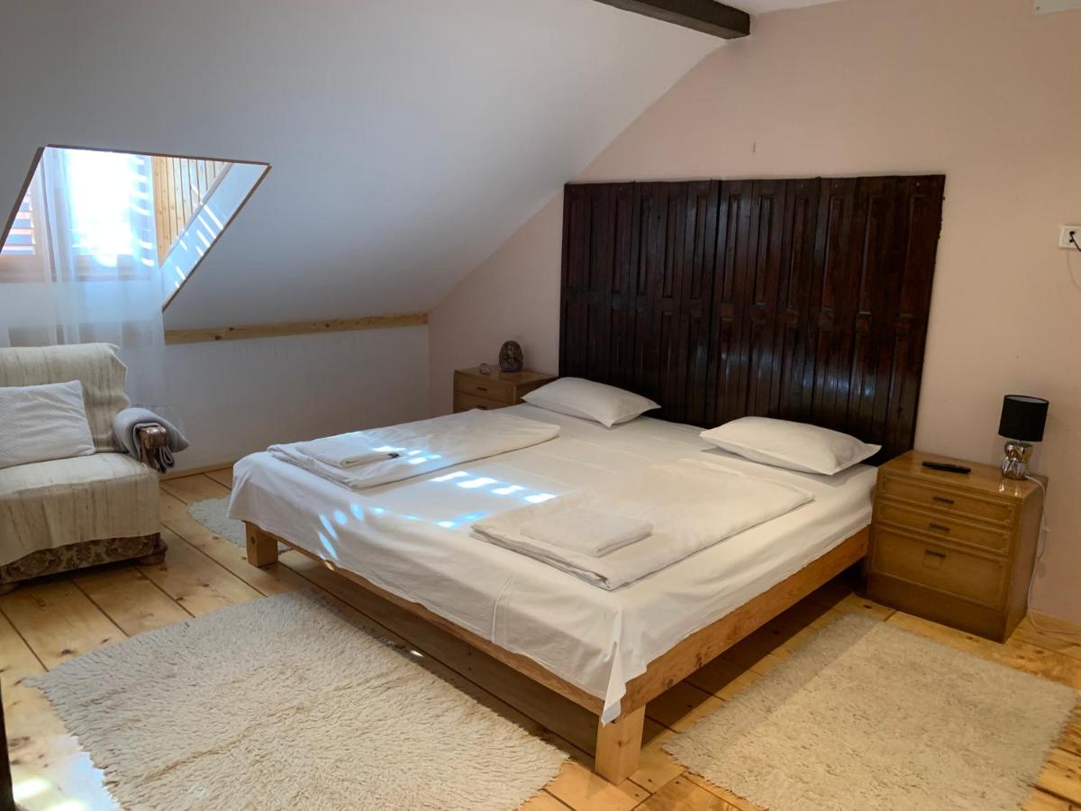 Cazare Iedera - Housity