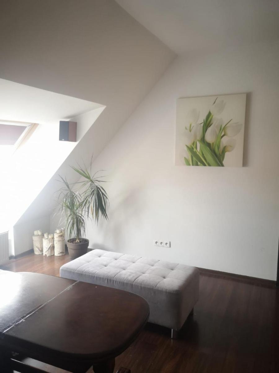 Apartamenty LENA 16 TWOJE poddasze - Hizvo