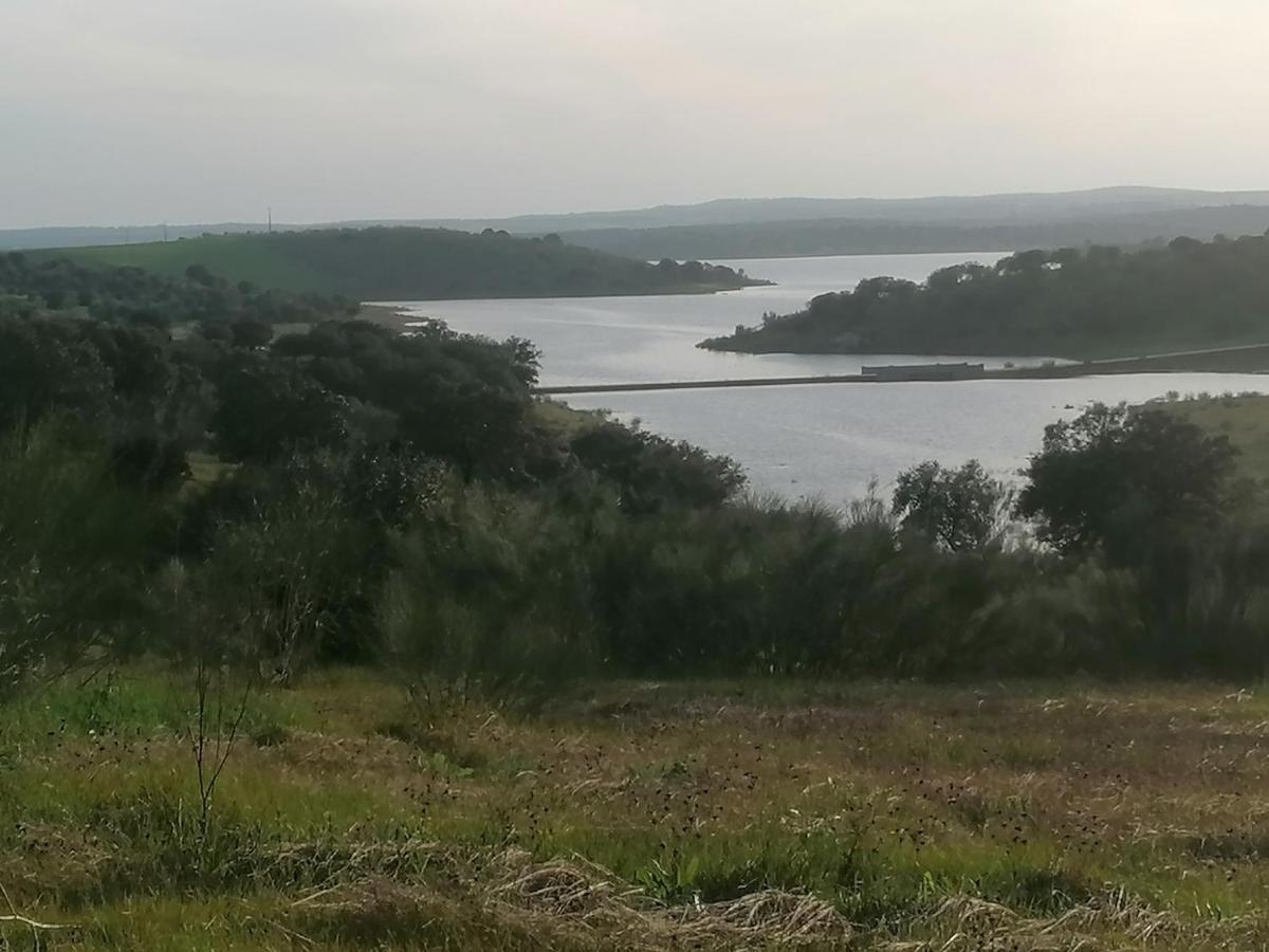 Monte da contenda - Housity