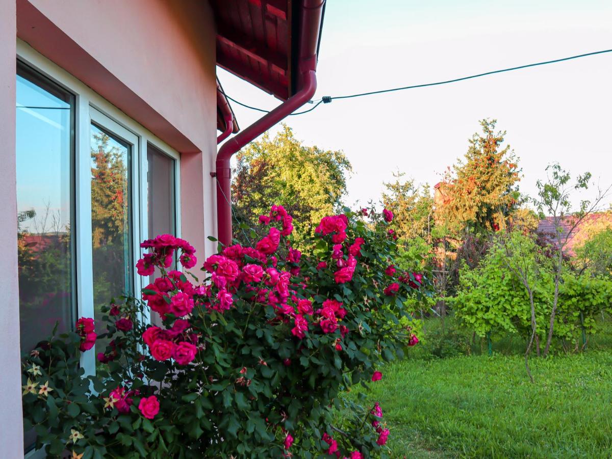 Casa Ili - Housity