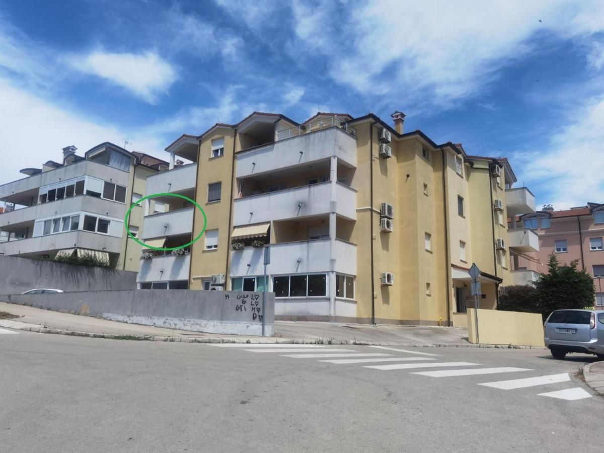 Dora - Housity
