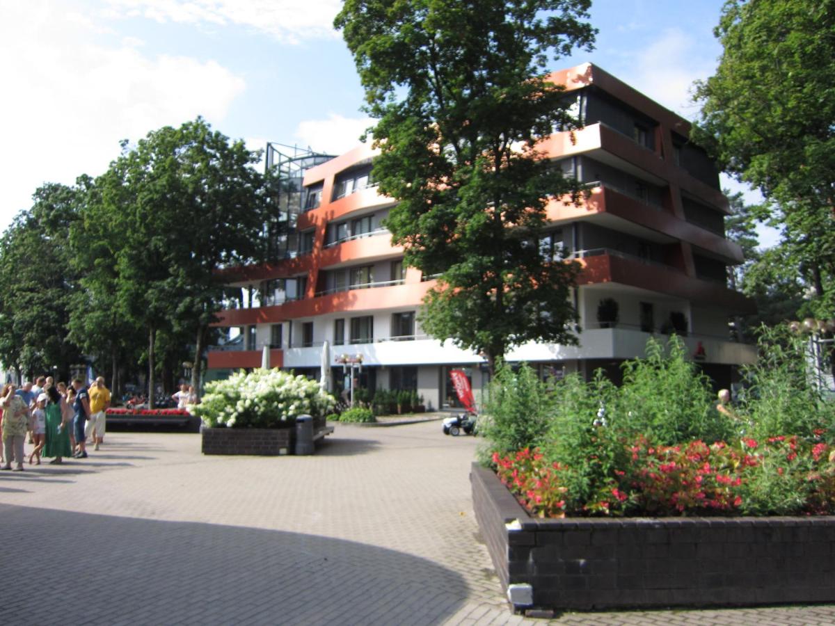 Amazing Snow Apartments - Housity