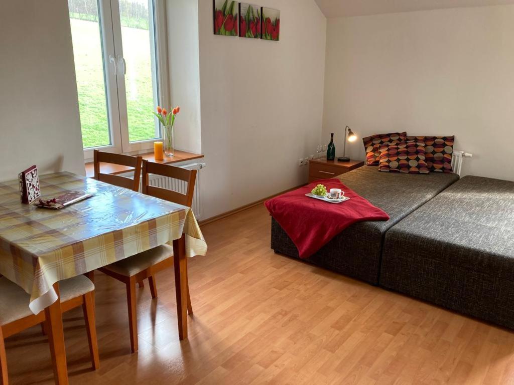 Horský apartmán v Karlovicích (Karlovický dvůr) - Housity