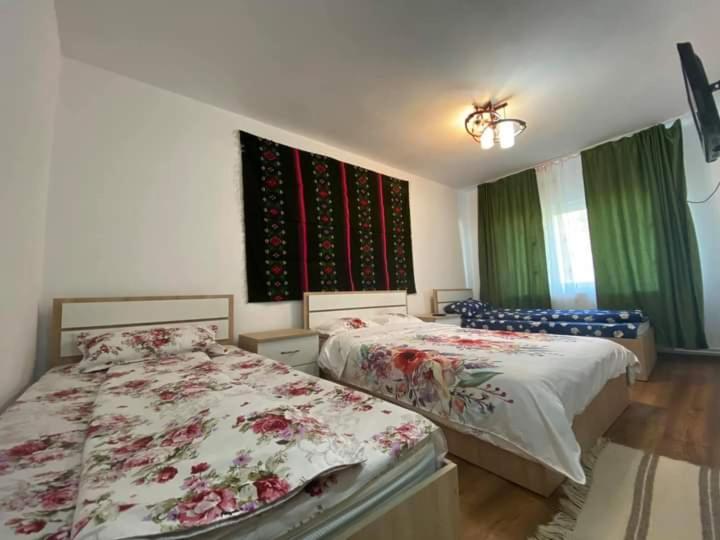 Pensiunea Ioana Maria - Housity