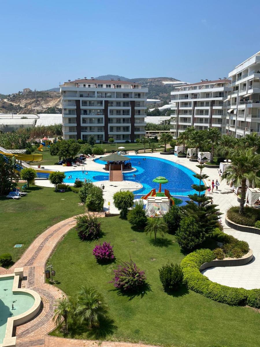 Luxury appartment F13 - Housity