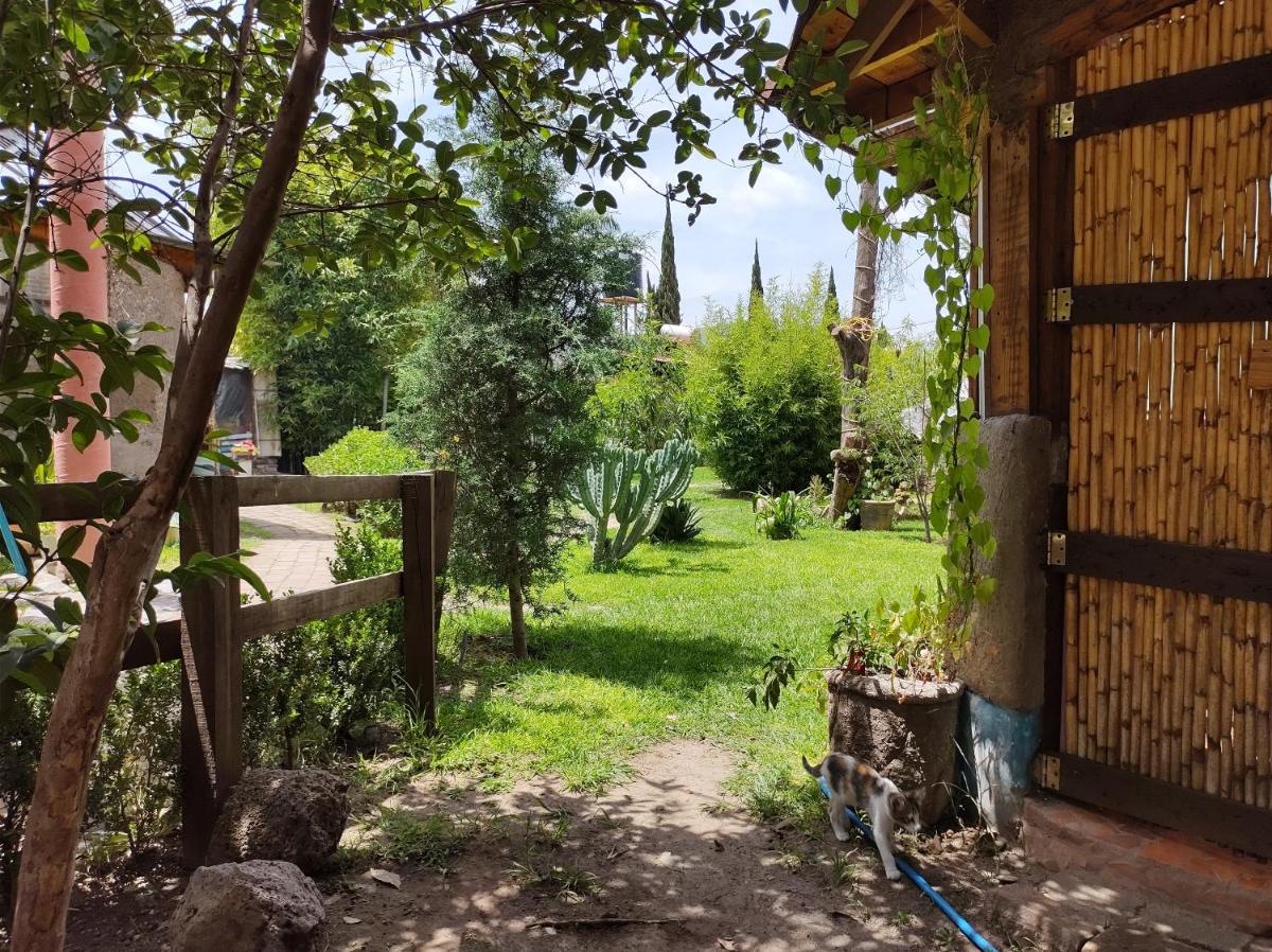 Suitetrails - Temazcal Casa de Barro