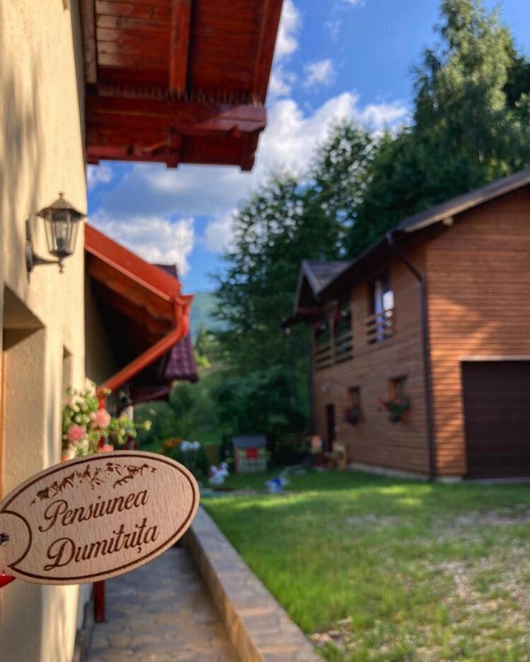 Villa Dumitrita - Housity