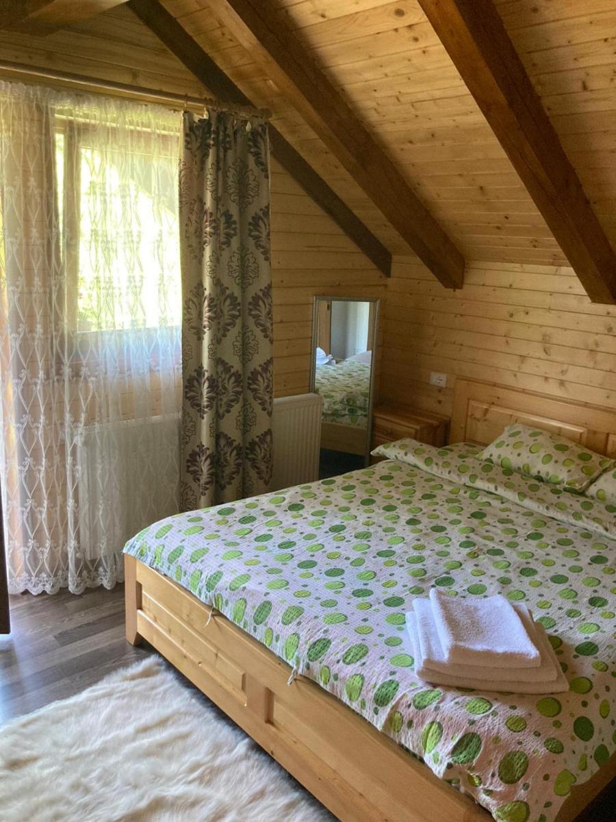 Villa Dumitrita - Housity