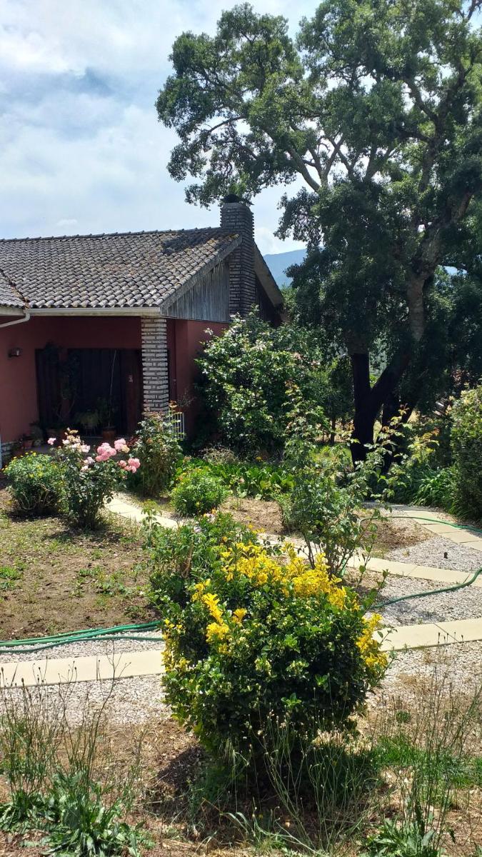 vivenda do Sobreiro AL - Housity