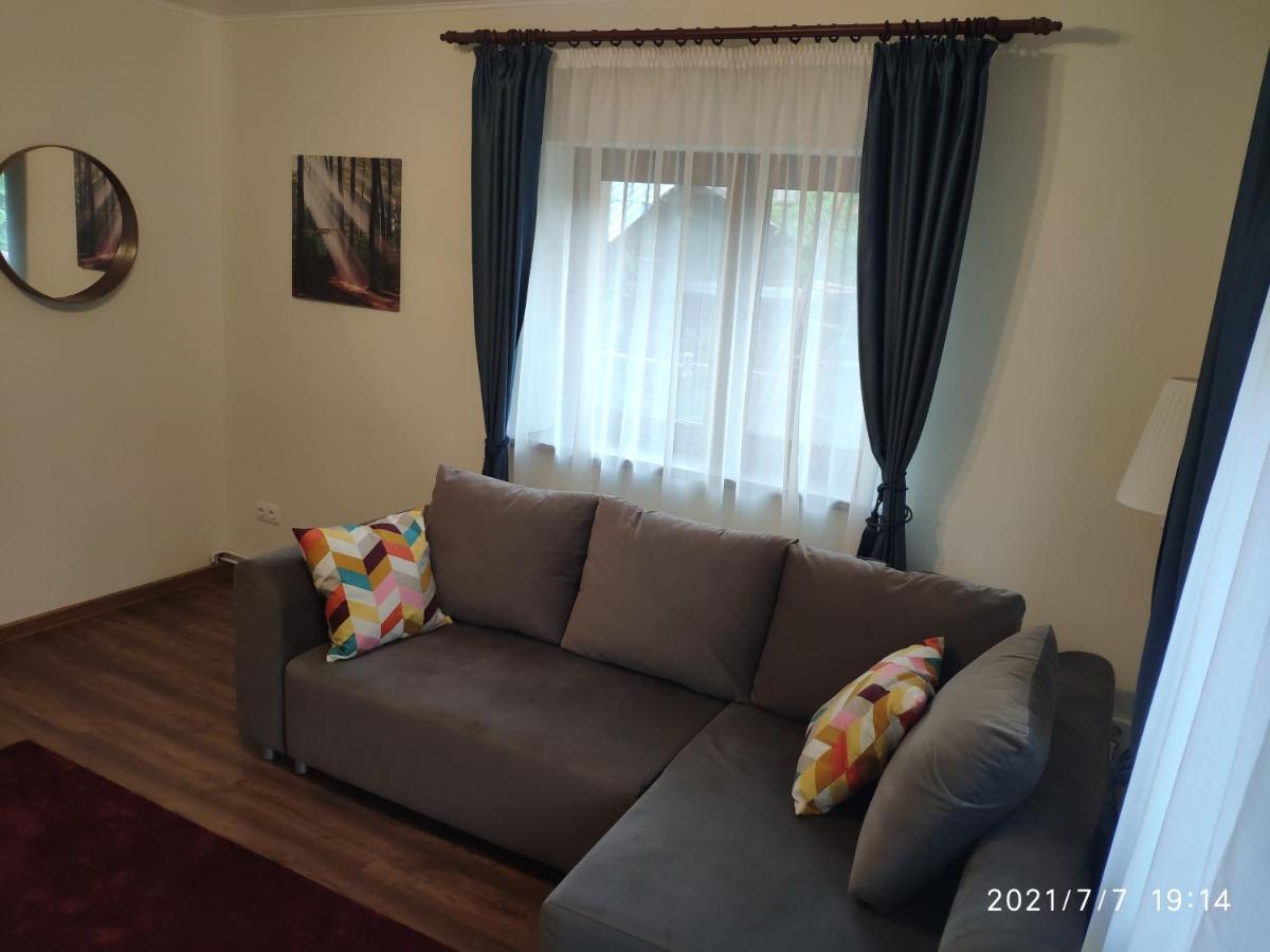 Cozy House Sinaia - Housity