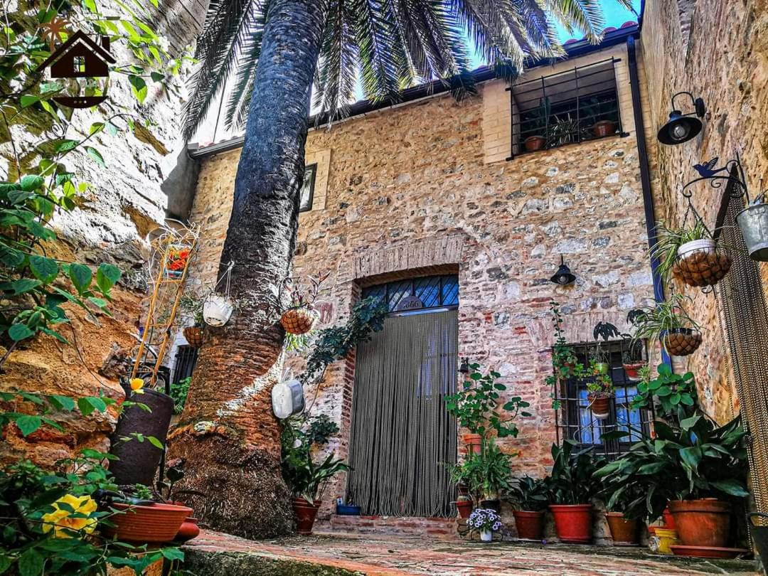 HOTEL RURAL TOCAMPAVI - Housity