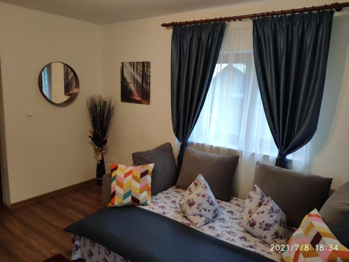 Cozy House Sinaia - Housity