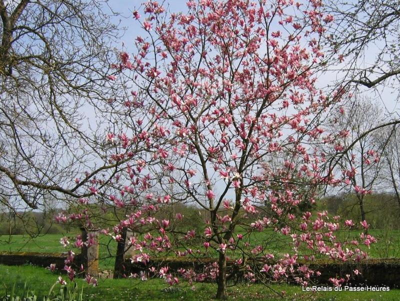 Le Relais du Passe-Heures - Housity